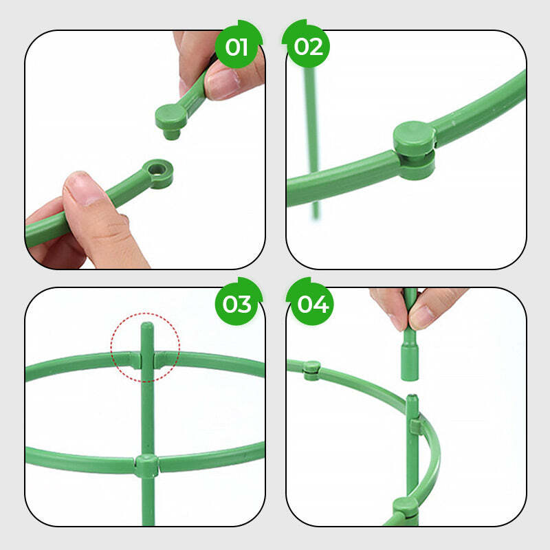 Growth Support System